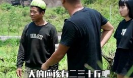 梦到田里摘瓜吃,田中摘瓜的奇幻体验