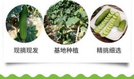 青农吃瓜事件,一场网络舆论的风暴与反思