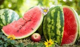 以前看新闻都是吃瓜,那些年我们一起吃过的瓜