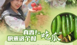 快来这个村吃瓜新闻,体验别样“吃瓜”乐趣！