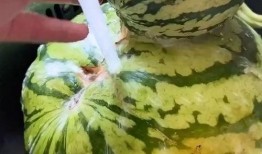 当代吃瓜搞笑视频,笑料横生！当代吃瓜搞笑视频盘点