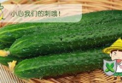 吃瓜动作配什么,探寻吃瓜动作背后的文化韵味
