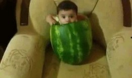 西瓜只吃瓜屁股,揭秘西瓜“屁股”的独特魅力