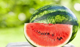 吃瓜吃西瓜吗,吃瓜吃西瓜，清凉一夏