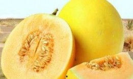 直接吃的黄色的瓜,尽享自然美味——探索直接食用的黄色瓜果