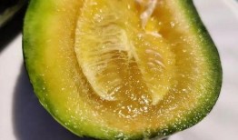 云兰吃瓜网,揭秘娱乐圈最新热点，带你畅游八卦海洋