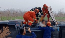 翻车司机路边吃瓜,意外走红引网友热议