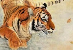 四虎吃瓜爆料,揭秘娱乐圈幕后真相