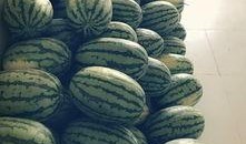 吃瓜职工,职场中的“瓜田”众生相