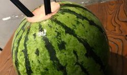 我把吃瓜系统上交了椰,椰子生成新篇章