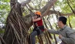 女装店吃瓜爬树,吃瓜爬树，揭秘日常生活中的趣味瞬间