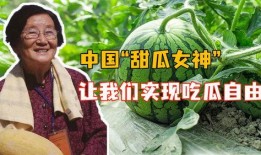 山东吃瓜女,揭秘山东美食文化中的独特魅力