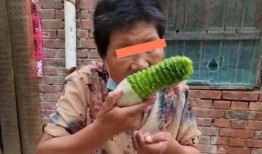 公婆吃瓜视频大全,公婆吃瓜视频大全趣味盘点