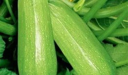 祖伟吃瓜,揭秘娱乐圈幕后故事