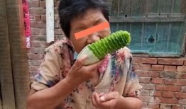 公婆吃瓜视频大全,公婆吃瓜视频大全趣味盘点