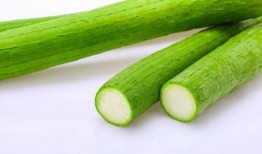 老年人吃三瓜,老年人必吃的“三瓜”食谱