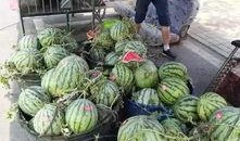 福州吃瓜后续事件,后续风波与公众反响揭秘