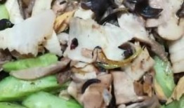 吃瓜菌子,吃瓜菌子的奇妙之旅