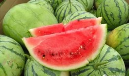 找瓜吃瓜,一场说吃就吃的“找瓜”之旅