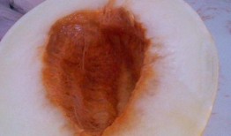 伊丽莎白瓜早上吃,开启美好一天的健康选择