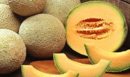 多人吃哈密瓜,多人品尝哈密瓜的美好时光