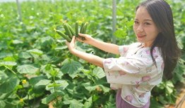 快来这个村吃瓜新闻,体验别样“吃瓜”乐趣！