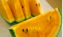 直接吃的黄色的瓜,尽享自然美味——探索直接食用的黄色瓜果