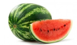 我把吃瓜系统上交了椰,椰子生成新篇章