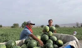 缅北吃瓜网址,带你领略神秘北缅风土人情