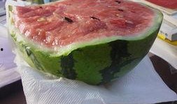 吃瓜吃到自己还继续吃,我竟成了瓜中瓜