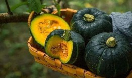 什么瓜蒸着吃甜,揭秘蒸制甜瓜的独特魅力