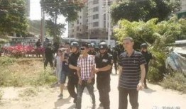 51吃瓜高密砍人,揭秘高密砍人生存法则