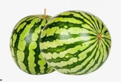 吃瓜直播大西瓜,大西瓜的甜蜜诱惑