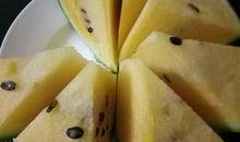 吃瓜恶心北京,一场网络热议背后的真相与反思