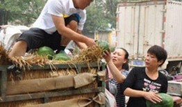 老年人吃三瓜,老年人必吃的“三瓜”食谱