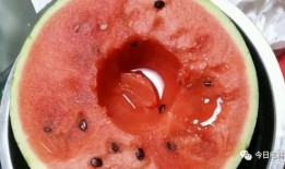 西瓜只吃瓜屁股,揭秘西瓜“屁股”的独特魅力