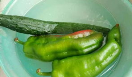 吃瓜辣嘴巴,揭秘娱乐圈背后的真相与八卦