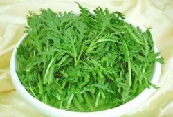 茼蒿妈儿子吃瓜,揭秘家庭欢乐日常