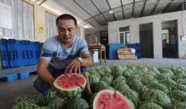 吃瓜师,师生间的趣味互动