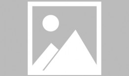 带你吃瓜熊猫表白,带你吃瓜的甜蜜告白