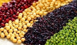 梦见同熟人吃瓜吃豆,与熟人共享瓜豆的温馨瞬间