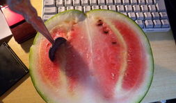 白哥吃瓜,揭秘娱乐圈那些不为人知的幕后故事