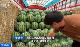 缅北吃瓜网址,带你领略神秘北缅风土人情