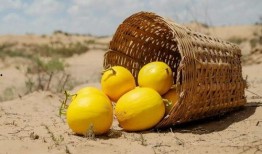 美国人吃蜜瓜,品味甜蜜生活