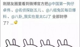 吃瓜事件总汇,盘点娱乐圈的“瓜田”风云