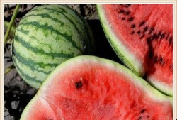 我天天吃隔夜瓜