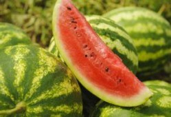 吃内脏瓜群,吃内脏瓜群的美食之旅