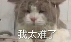 内娱免费吃瓜,揭秘娱乐圈幕后故事