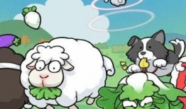 小羊吃不吃瓜,探索食草动物的新食趣