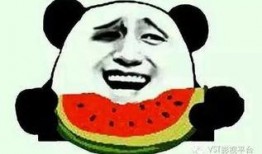 呆瓜吃瓜,揭秘网络热词背后的趣味与智慧